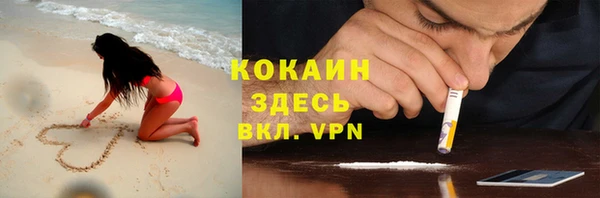 индика Магас