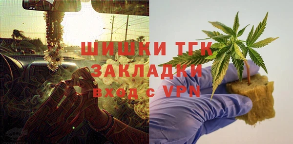 индика Магас