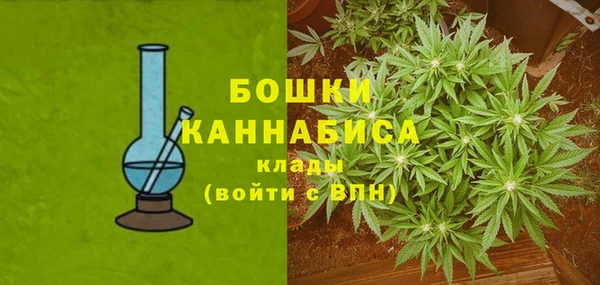 амф Липки
