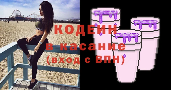 индика Магас